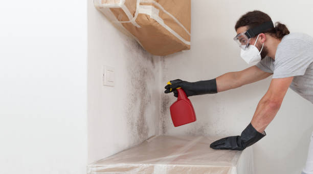 Professional Bathroom Mold Removal technician working in Freeland, MI