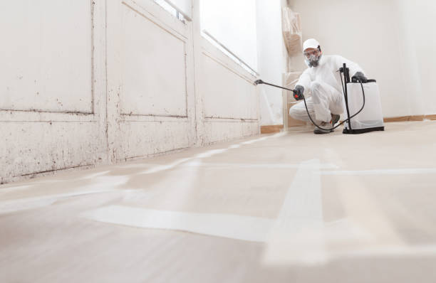 24/7 Emergency Bathroom Mold Removal experts in Freeland, MI