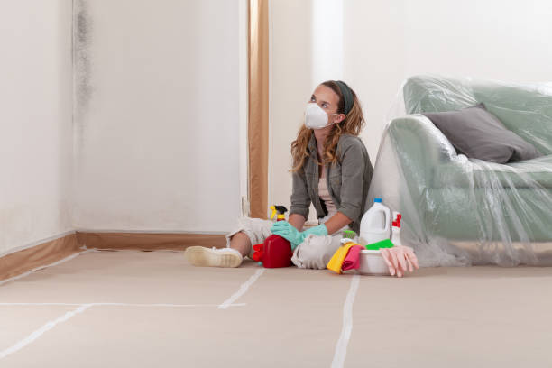 Reliable Bathroom Mold Removal contractor in Freeland, MI by Mold Remediation HQ